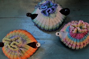 Rainbow Cosies TC15